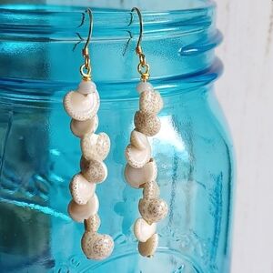 Umbonium Shell Earrings